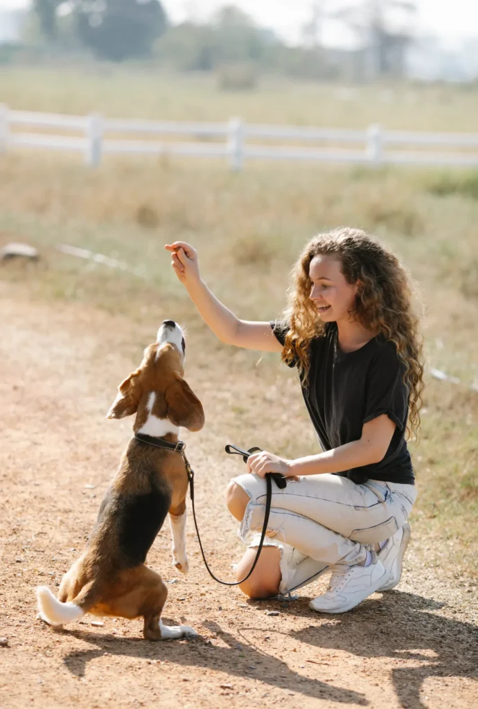 Training a dog with positive methods — training builds trust