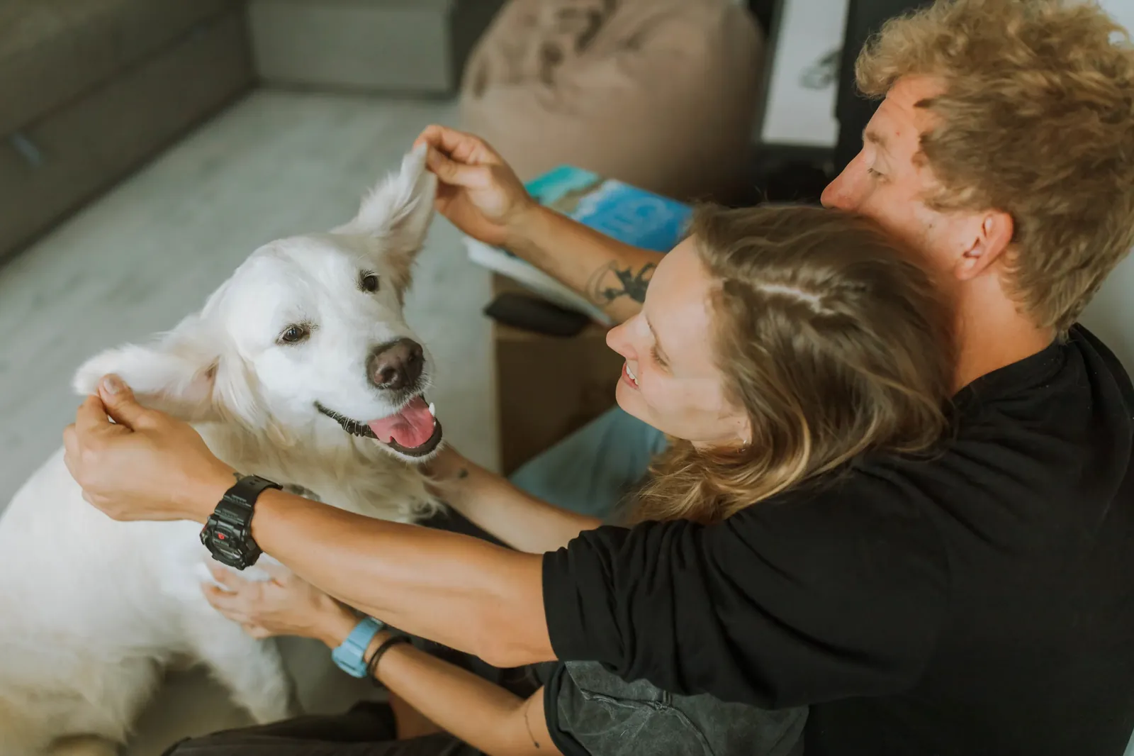 Family with puppy deciding on spay and neuter timing