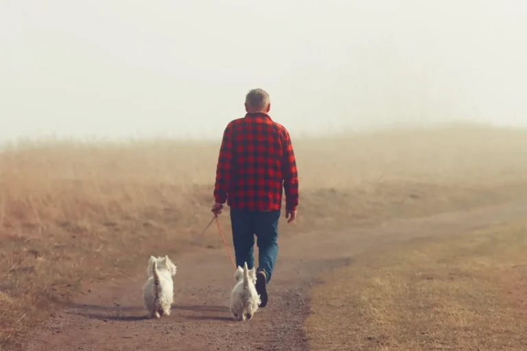 Senior dog on a walk — joint supplements for senior dogs