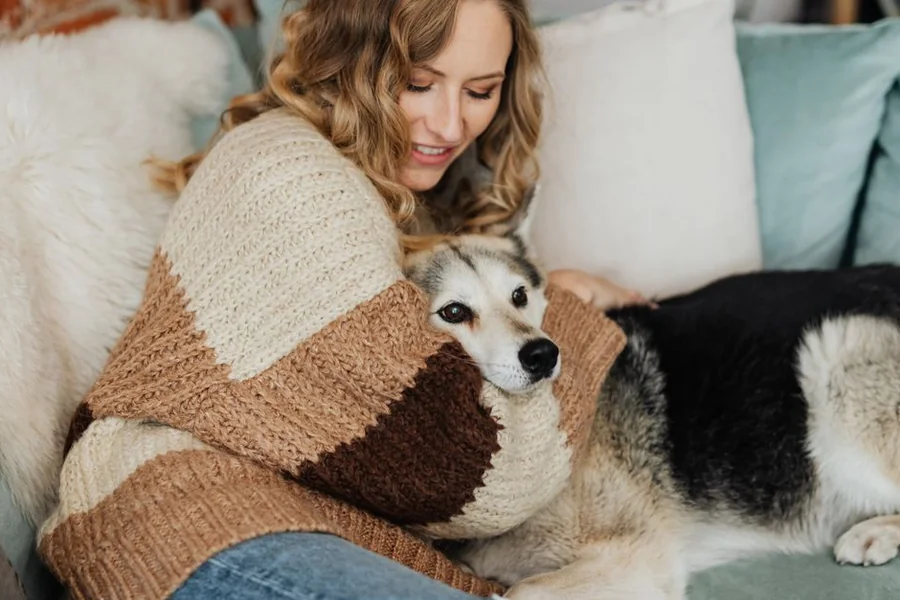 Pet Insurance for Senior Dogs: Is It Worth It? (2026 Guide) 13 Senior dog resting with its owner.