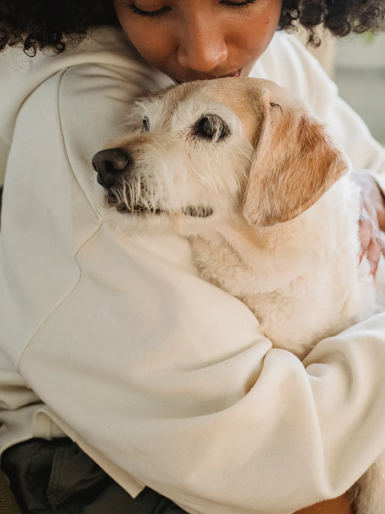 Does Pet Insurance Cover Cancer Treatment? (2026) 14 Senior dog with owner — enroll early for the best protection