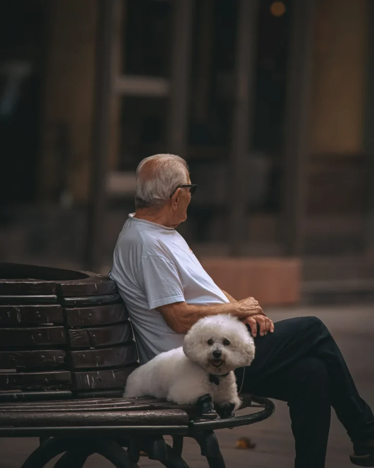 Senior with a calm companion dog — best dog breeds for seniors