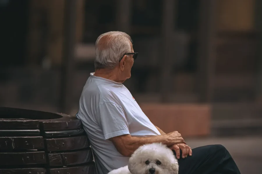 Senior with a calm companion dog — best dog breeds for seniors