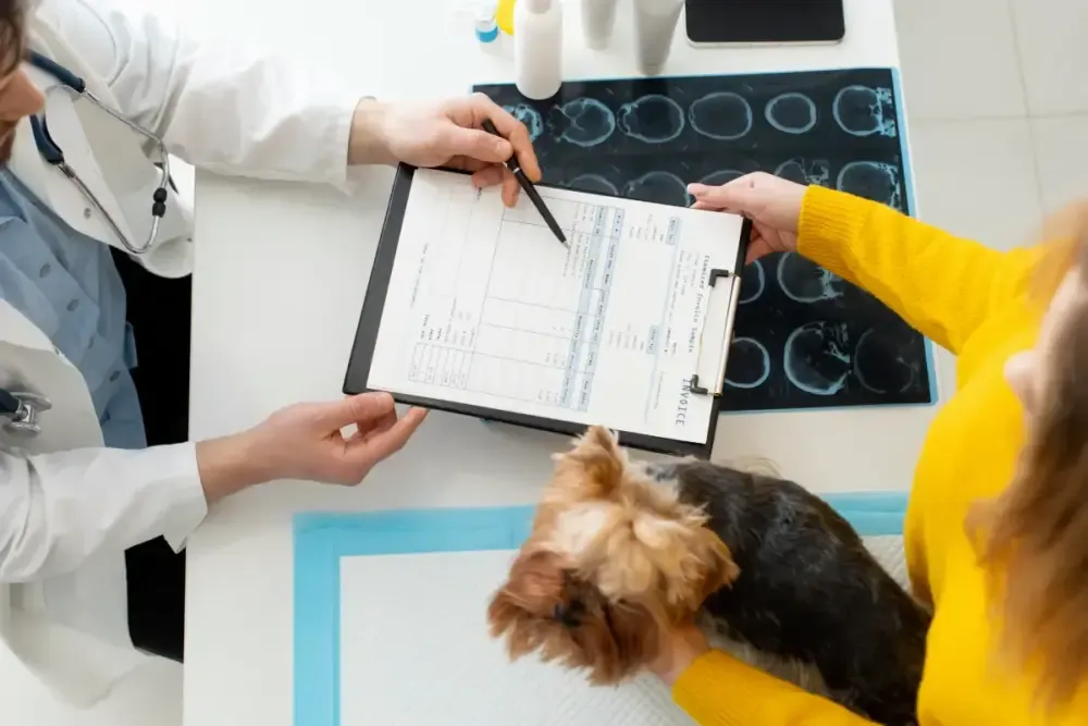 Pet Insurance vs. Savings Account: Which Wins in 2026? 13 Veterinarian reviewing a bill — the math behind pet insurance claims
