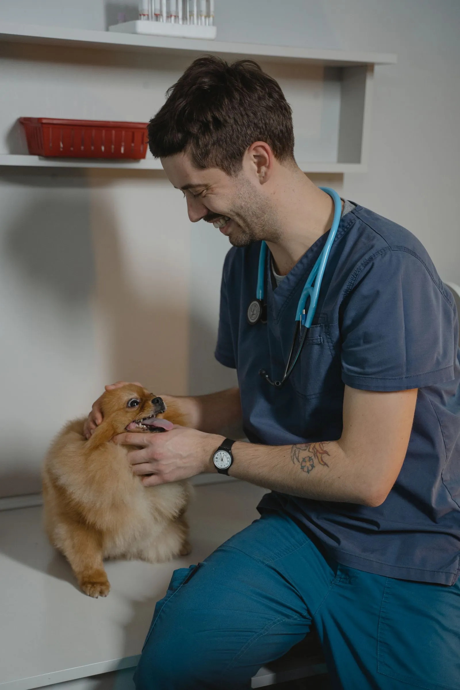 Does Pet Insurance Cover Cancer Treatment? (2026) 12 Veterinarian consulting a dog owner about a diagnosis