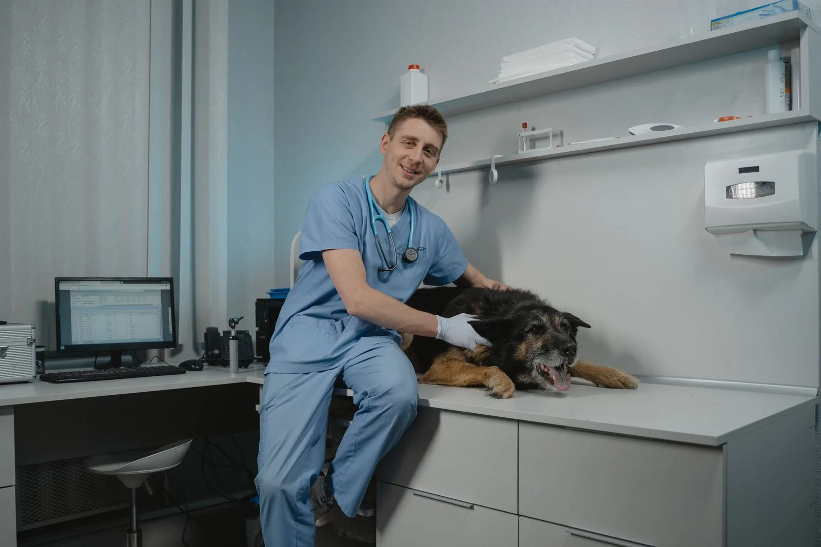 Accident Only vs Comprehensive Pet Insurance: Which Is Worth It? (2026) 12 Veterinarian examining a dog at a vet clinic — accident injuries are covered by both plan tiers